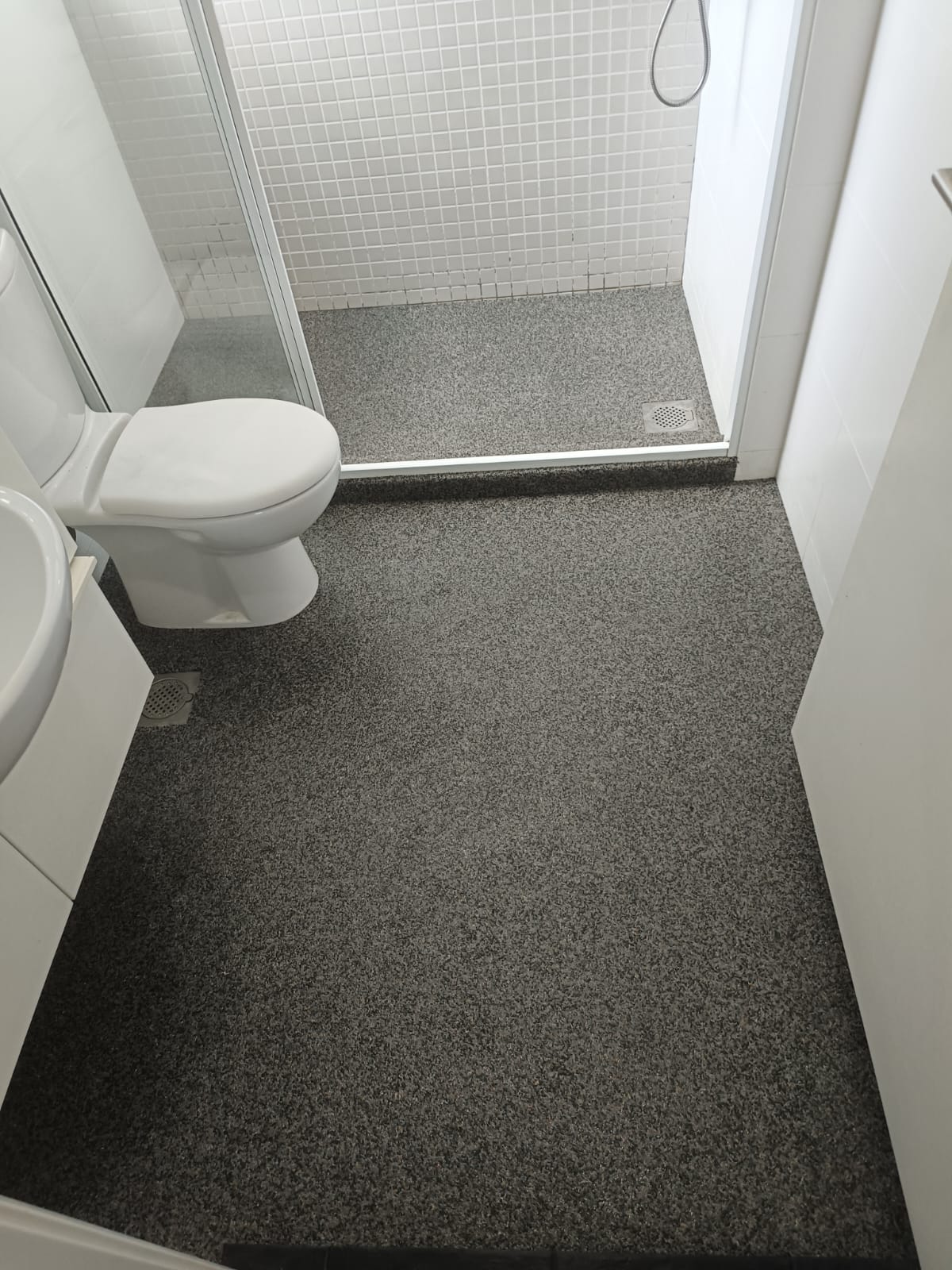 Epoxy Lastic Pro Toilet floor
