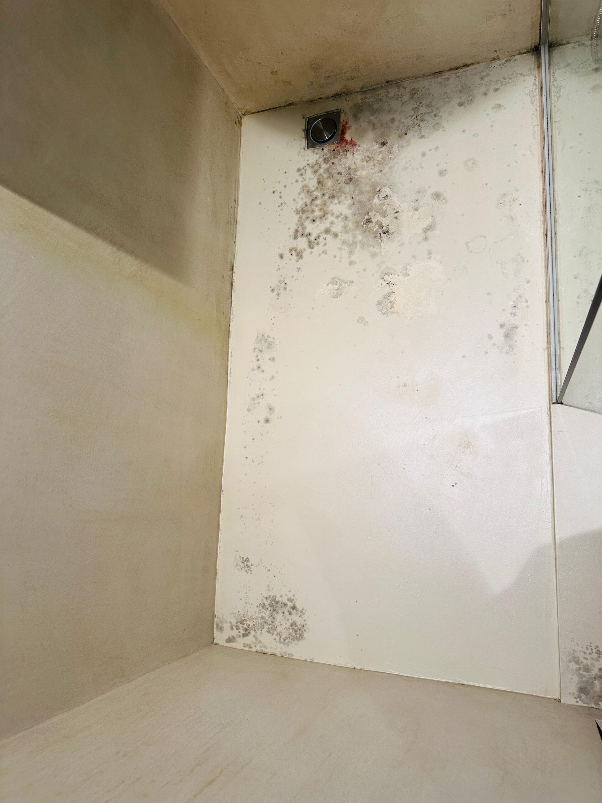 A mouldy bathroom floor